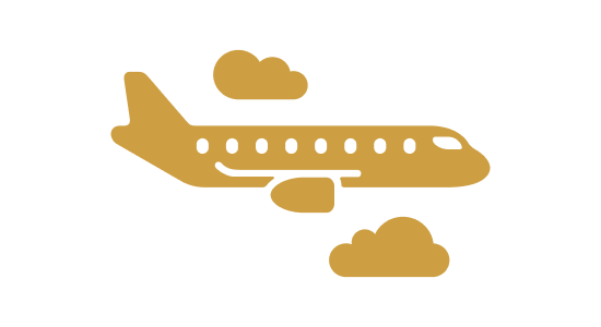 Air Shipping Icon